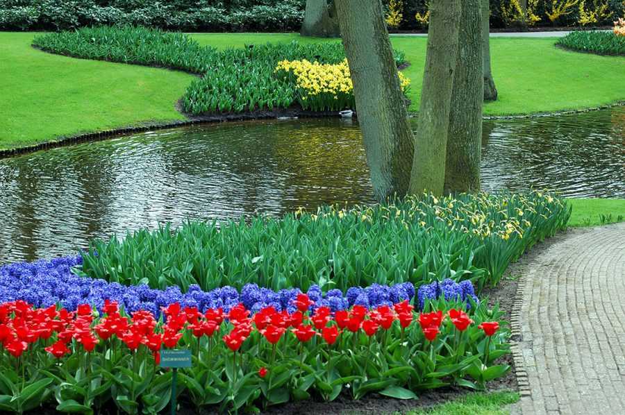 Ботанический сад Кёкенхоф: цветочное море недалеко от Амстердама
